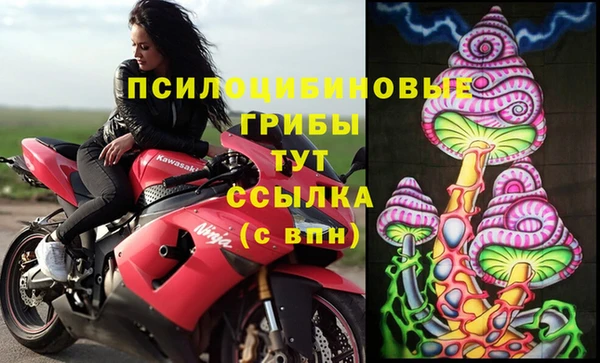 индика Арсеньев