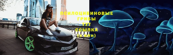 гидропоника Армянск