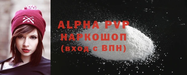 индика Арсеньев