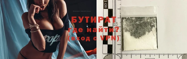 индика Арсеньев