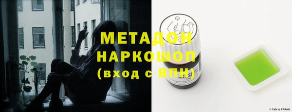 индика Арсеньев