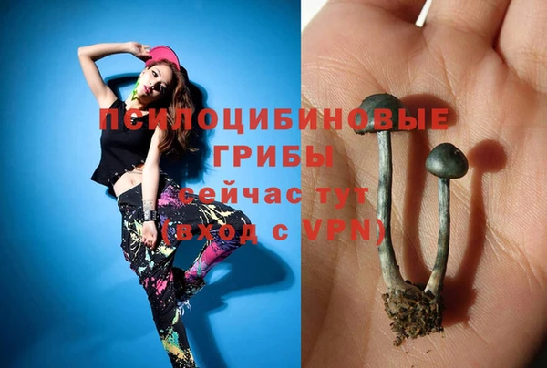 индика Арсеньев