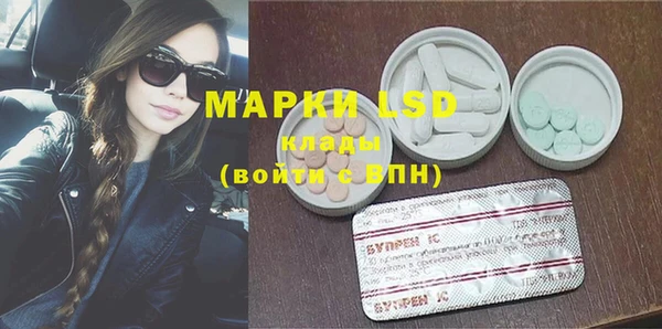индика Арсеньев