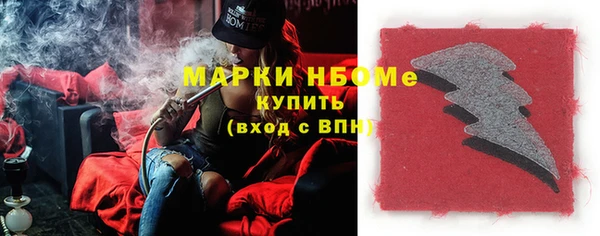индика Арсеньев