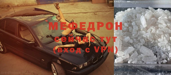 индика Арсеньев