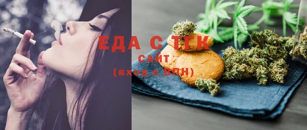 индика Арсеньев